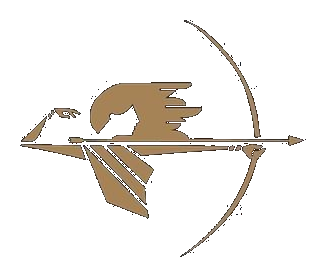 Aslan Consulting Crest
